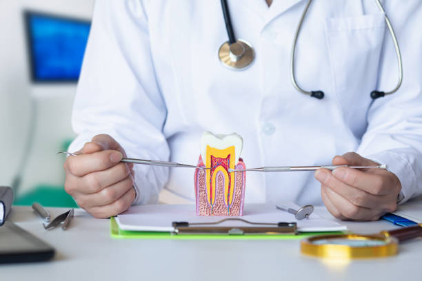 Best Emergency Dental Care for Abscessed Tooth in Columbus Junction, IA